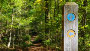 wandercoaching_montevida_kellermann_schwarzwald-trilogi_breit